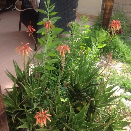 Vakantiehuis Casa Valentina Sconto Traghetto Marina di Campo