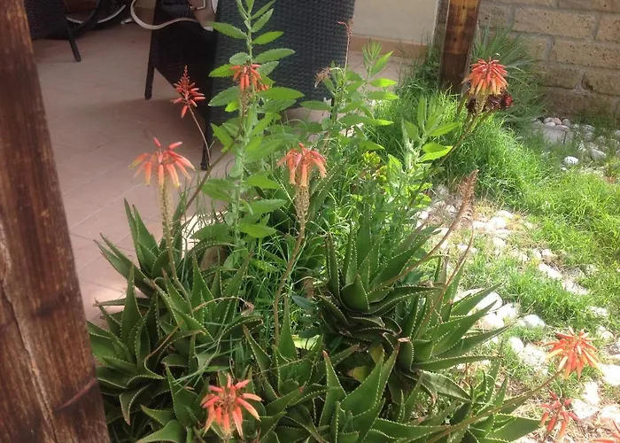 Дом отдыха Casa Valentina Sconto Traghetto Марина-ди-Кампо